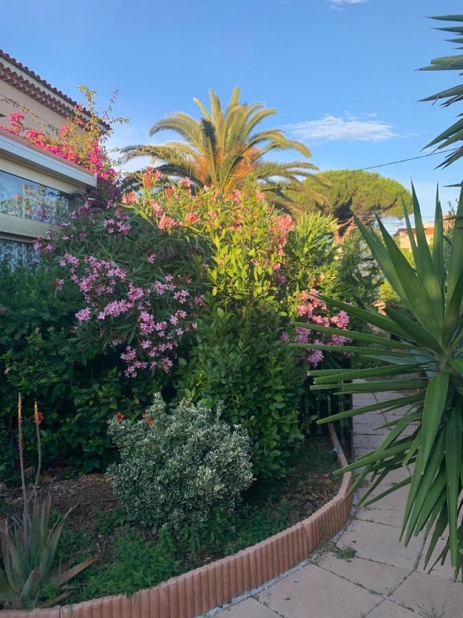 Apartamento Rose de Sel Hyères Exterior foto